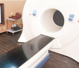 がん診療の充実の写真